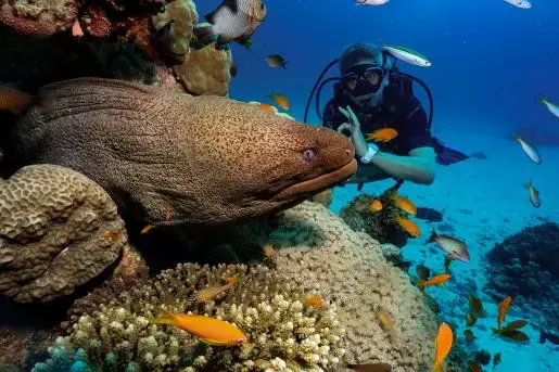 PADI Scuba Diver Course