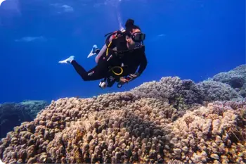 Discover Scuba Diving