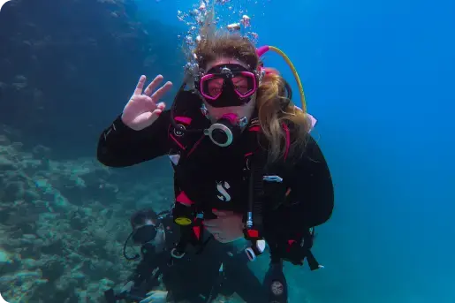 SURPRISING DIVING
